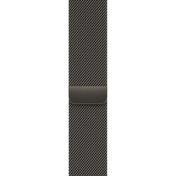 Apple Watch S9 45mm Graphite / Stainless Steel Case