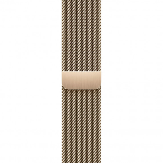 Apple Watch S9 45mm Gold / Stainless Steel Case