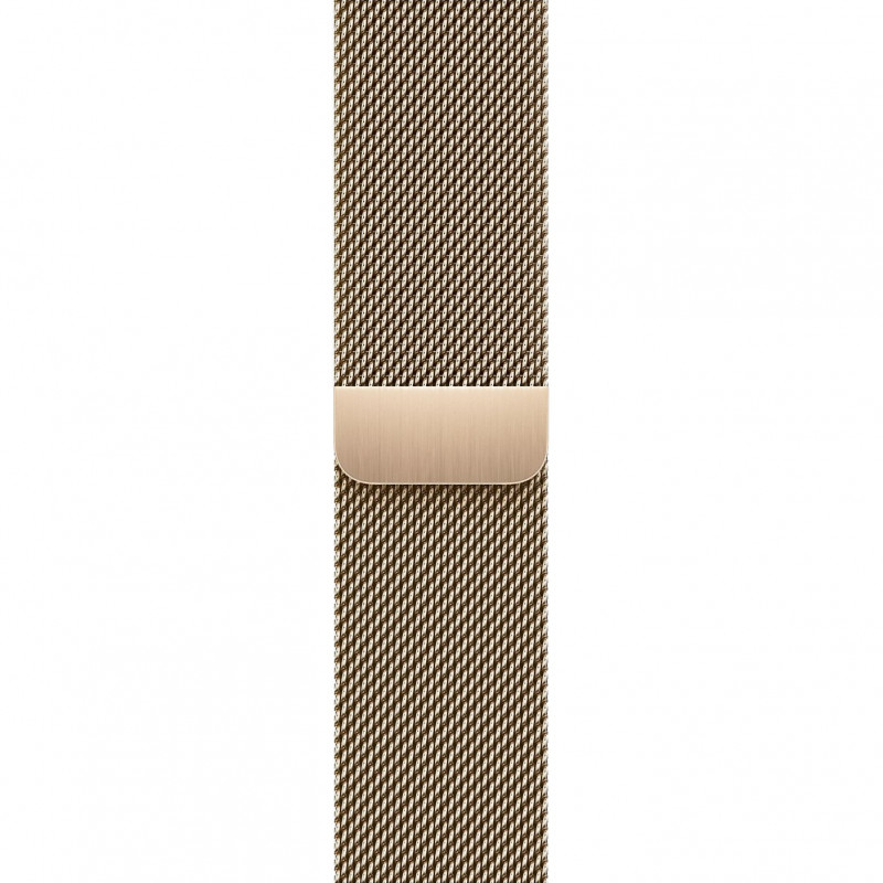 Apple Watch S9 45mm Gold / Stainless Steel Case