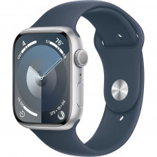 Купить Apple Watch S9 45mm Silver / Aluminum Case