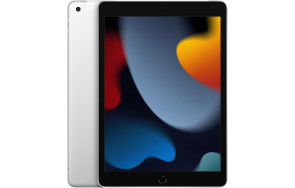 Купить Apple iPad 9 10.2 (2021) 256GB Wi-Fi Silver