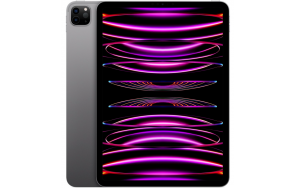 Купить Apple iPad Pro 12.9 WiFi 1Tb Space Gray (2022)