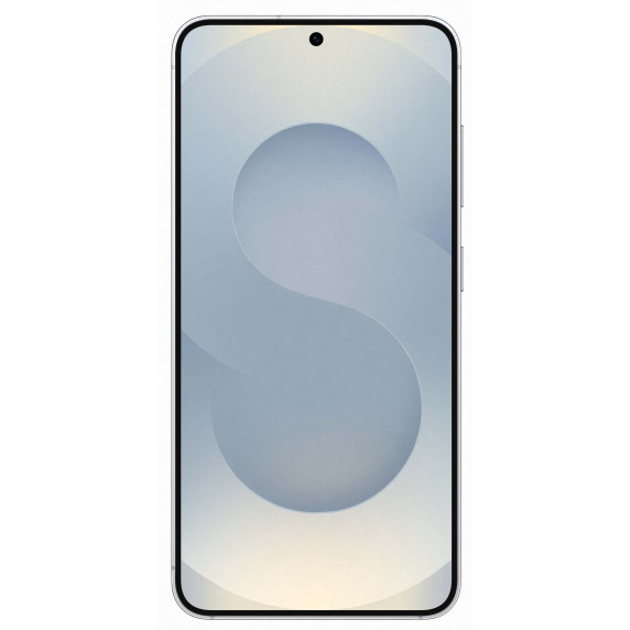 Samsung Galaxy S25 12/512Gb Silver Shadow