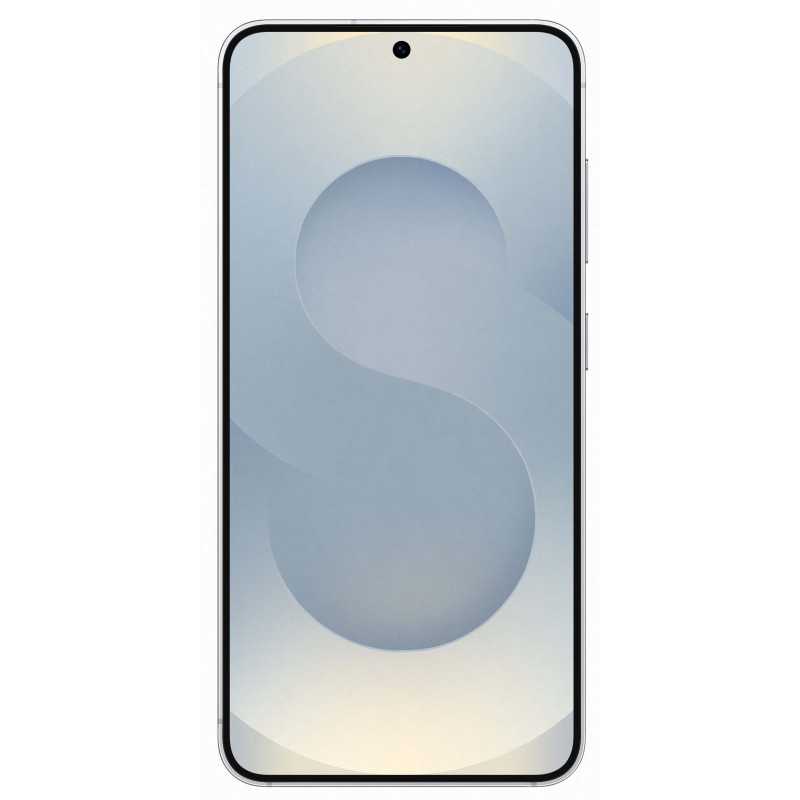 Samsung Galaxy S25 12/512Gb Silver Shadow