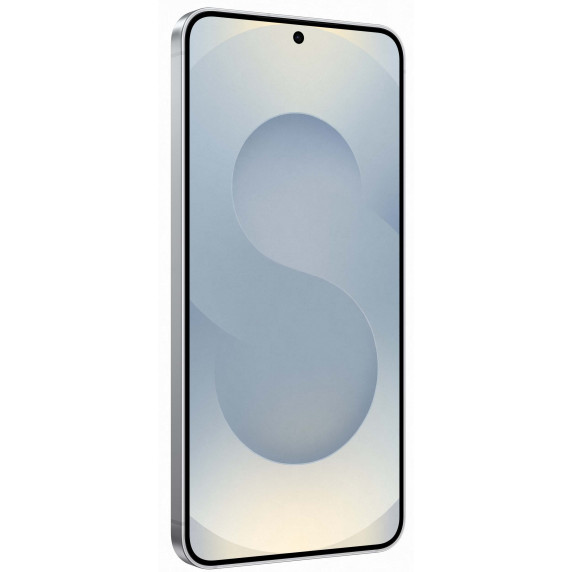 Samsung Galaxy S25 12/512Gb Silver Shadow