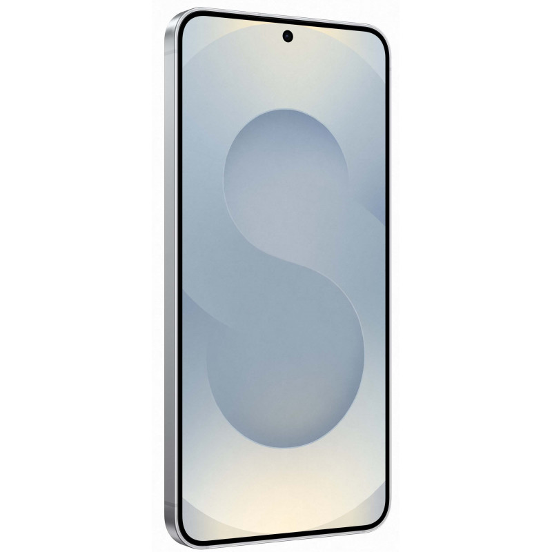 Samsung Galaxy S25 12/512Gb Silver Shadow